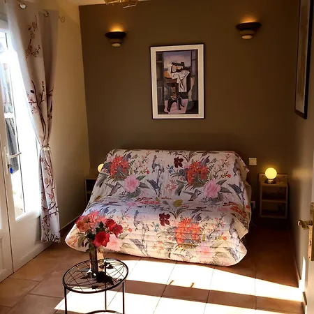 Le Lezard Pale * Corneilla-la-Riviere